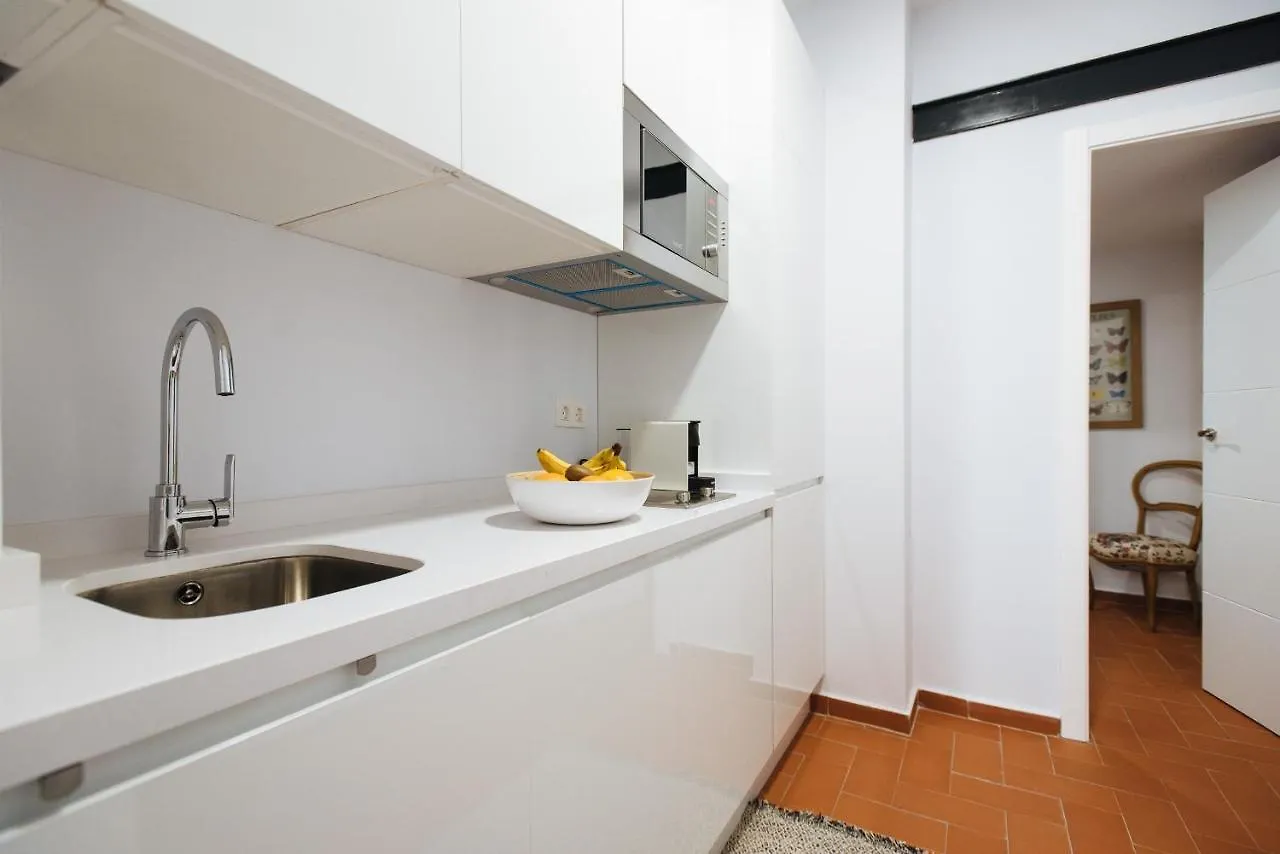 Casa Galera Historic Downtown Apartment In Seville